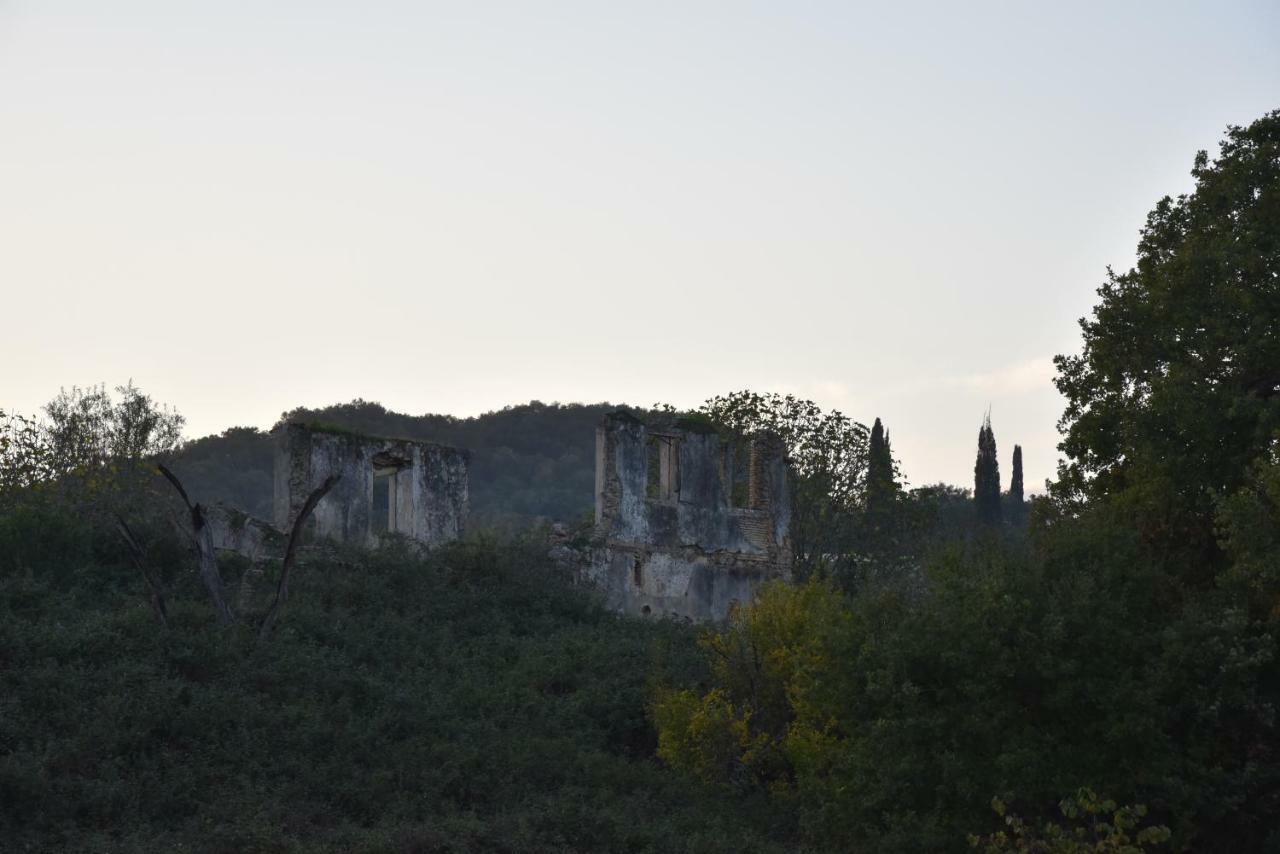 Epavlis Nadine Corfu Villa กูเวีย ภายนอก รูปภาพ